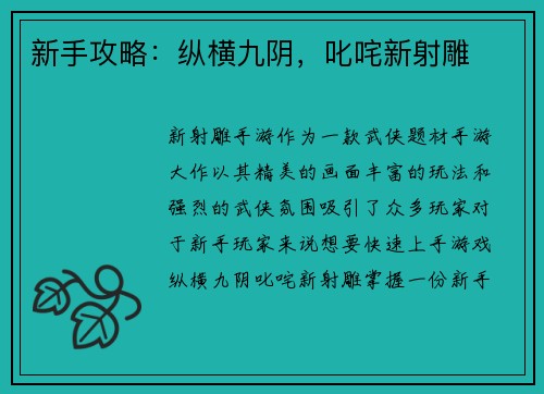 新手攻略：纵横九阴，叱咤新射雕
